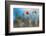 By the Side of the Road 1-Ursula Abresch-Framed Photographic Print