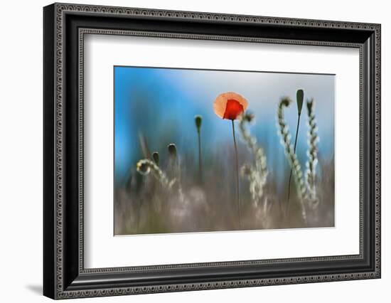 By the Side of the Road 1-Ursula Abresch-Framed Photographic Print