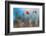 By the Side of the Road 1-Ursula Abresch-Framed Photographic Print