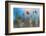 By the Side of the Road 1-Ursula Abresch-Framed Photographic Print