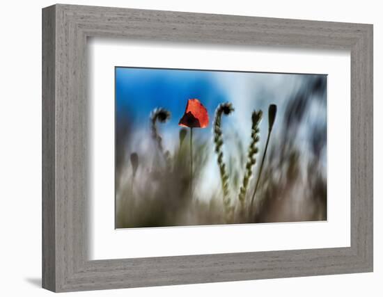 By the Side of the Road 2-Ursula Abresch-Framed Photographic Print