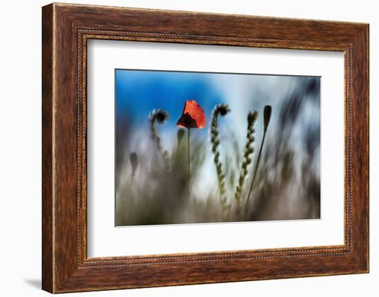 By the Side of the Road 2-Ursula Abresch-Framed Photographic Print