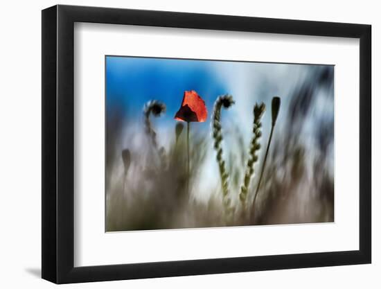 By the Side of the Road 2-Ursula Abresch-Framed Photographic Print