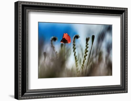 By the Side of the Road 2-Ursula Abresch-Framed Photographic Print