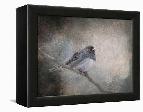 By Winter's Light-Jai Johnson-Framed Premier Image Canvas