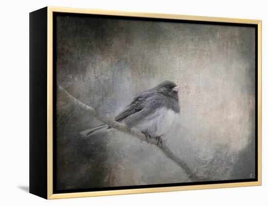 By Winter's Light-Jai Johnson-Framed Premier Image Canvas