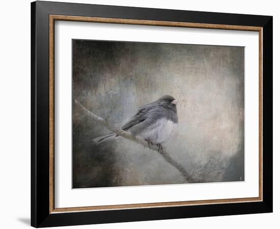 By Winter's Light-Jai Johnson-Framed Giclee Print