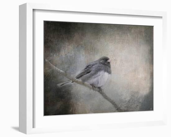 By Winter's Light-Jai Johnson-Framed Giclee Print