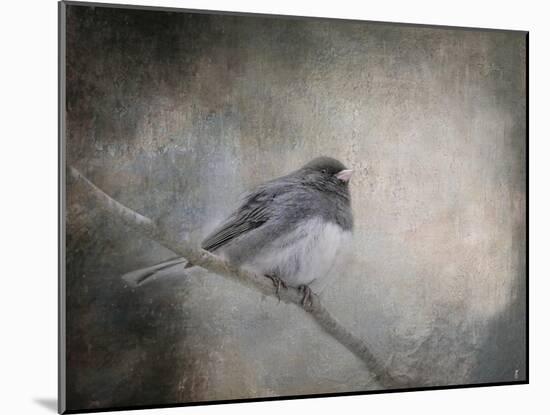 By Winter's Light-Jai Johnson-Mounted Giclee Print