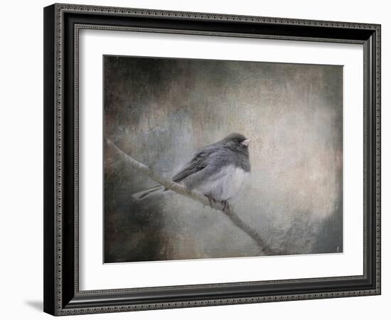 By Winter's Light-Jai Johnson-Framed Giclee Print