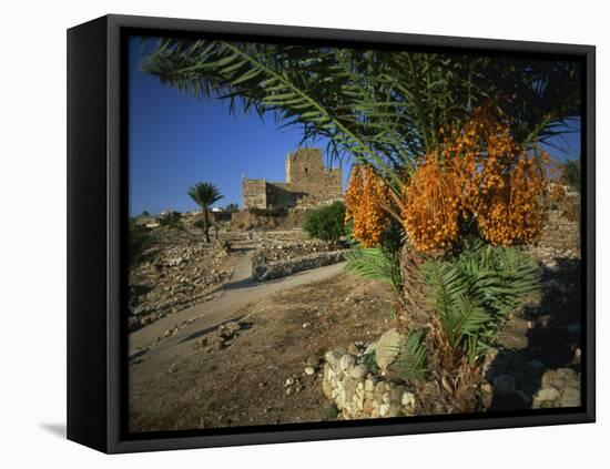 Byblos, Lebanon, Middle East-Olivieri Oliviero-Framed Premier Image Canvas