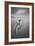Bycicle 2-Moises Levy-Framed Photographic Print