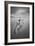 Bycicle 2-Moises Levy-Framed Photographic Print