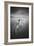 Bycicle 2-Moises Levy-Framed Photographic Print