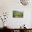 Byodo-In Temple, Valley of the Temples, Kaneohe, Oahu, Hawaii, United States of America, Pacific-Michael DeFreitas-Photographic Print displayed on a wall