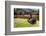 Byodo-In Temple, Valley of the Temples, Kaneohe, Oahu, Hawaii, United States of America, Pacific-Michael DeFreitas-Framed Photographic Print