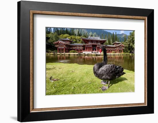 Byodo-In Temple, Valley of the Temples, Kaneohe, Oahu, Hawaii, United States of America, Pacific-Michael DeFreitas-Framed Photographic Print