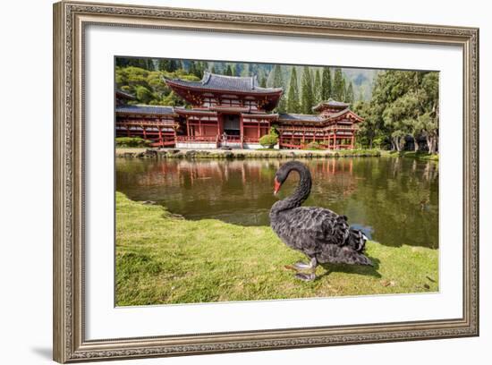 Byodo-In Temple, Valley of the Temples, Kaneohe, Oahu, Hawaii-Michael DeFreitas-Framed Photographic Print