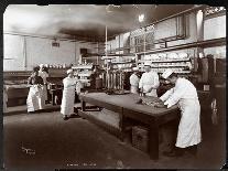 The Confectionery Department at Sherry's Restaurant, New York, 1902-Byron Company-Giclee Print