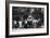 Bystanders Examining an Abandoned Tank on the Rue De Medicis, Liberation of Paris, August 1944-null-Framed Giclee Print