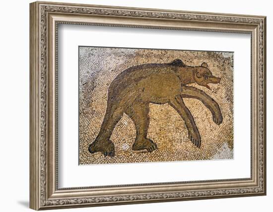 Byzantine bear mosaic, the Theater, Roman ruins of Bulla Regia, Tunisia-Nico Tondini-Framed Photographic Print