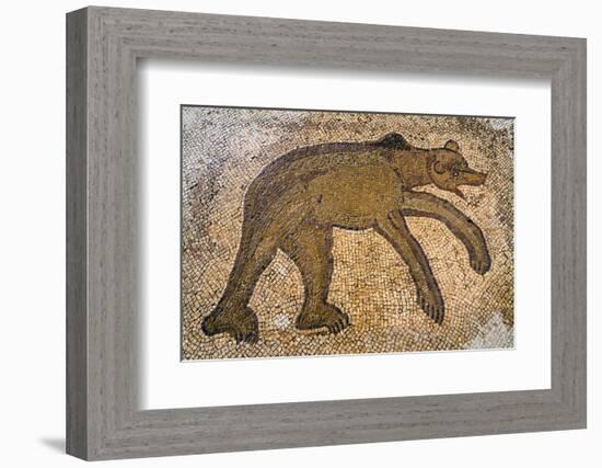 Byzantine bear mosaic, the Theater, Roman ruins of Bulla Regia, Tunisia-Nico Tondini-Framed Photographic Print