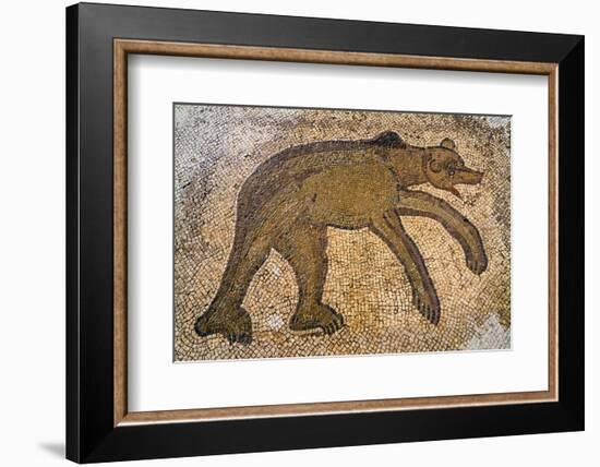 Byzantine bear mosaic, the Theater, Roman ruins of Bulla Regia, Tunisia-Nico Tondini-Framed Photographic Print