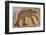 Byzantine bear mosaic, the Theater, Roman ruins of Bulla Regia, Tunisia-Nico Tondini-Framed Photographic Print