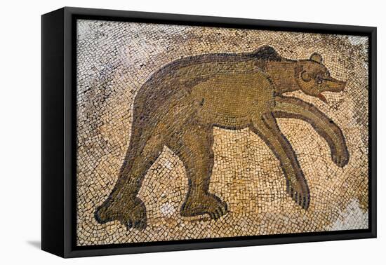 Byzantine bear mosaic, the Theater, Roman ruins of Bulla Regia, Tunisia-Nico Tondini-Framed Premier Image Canvas