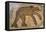 Byzantine bear mosaic, the Theater, Roman ruins of Bulla Regia, Tunisia-Nico Tondini-Framed Premier Image Canvas