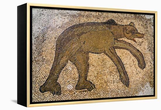 Byzantine bear mosaic, the Theater, Roman ruins of Bulla Regia, Tunisia-Nico Tondini-Framed Premier Image Canvas
