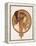 Byzantine Head of a Brunette; Tete Byzantine D'Une Brunette, C.1897 (Lithograph in Colours)-Alphonse Mucha-Framed Premier Image Canvas