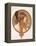 Byzantine Head of a Brunette; Tete Byzantine D'Une Brunette, C.1897 (Lithograph in Colours)-Alphonse Mucha-Framed Premier Image Canvas