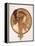 Byzantine Head of a Brunette; Tete Byzantine D'Une Brunette, C.1897 (Lithograph in Colours)-Alphonse Mucha-Framed Premier Image Canvas