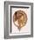 Byzantine Head of a Brunette; Tete Byzantine D'Une Brunette, C.1897 (Lithograph in Colours)-Alphonse Mucha-Framed Giclee Print