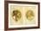 Byzantine Heads; Tetes Byzantines, 1900-Alphonse Mucha-Framed Giclee Print