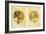 Byzantine Heads; Tetes Byzantines, 1900-Alphonse Mucha-Framed Giclee Print