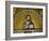 Byzantine Mosaic: Christ Pantocrator (Close-Up View of Mosaic in the Narthex)-null-Framed Giclee Print