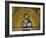 Byzantine Mosaic: Christ Pantocrator (Close-Up View of Mosaic in the Narthex)-null-Framed Giclee Print