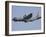 C-130J Super Hercules of the 86th Airlift Wing-Stocktrek Images-Framed Photographic Print