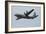 C-130J Super Hercules of U.S. Air Forces Europe-Stocktrek Images-Framed Photographic Print