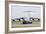 C-17 Globemaster Iii of the Royal Air Force-Stocktrek Images-Framed Photographic Print