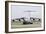 C-17 Globemaster Iii of the Royal Air Force-Stocktrek Images-Framed Photographic Print