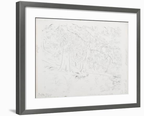 C.1916-Daniel Oliver-Framed Giclee Print