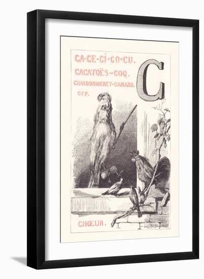C: CA CE CI CO CU - Cockatoos - Cock - Goldfinch - Duck - Vine — Choir, 1879 (Engraving)-Fortune Louis Meaulle-Framed Giclee Print