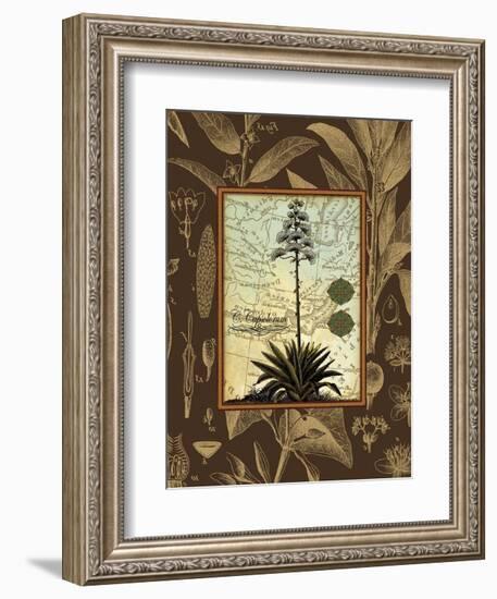 C. Capsolorum-Karl Rattner-Framed Art Print