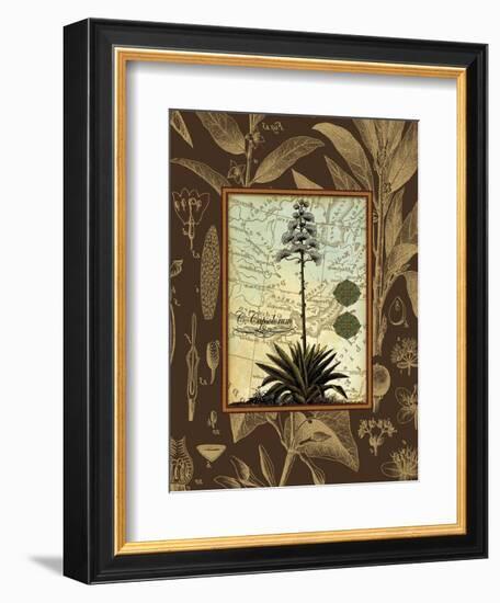 C. Capsolorum-Karl Rattner-Framed Art Print