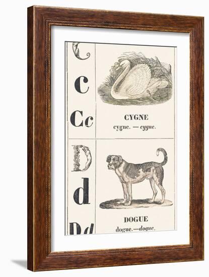 C D: Swan — Mastiff, 1850 (Engraving)-Louis Simon (1810-1870) Lassalle-Framed Giclee Print