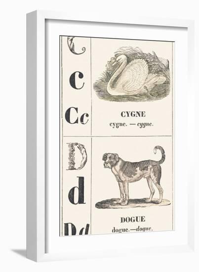 C D: Swan — Mastiff, 1850 (Engraving)-Louis Simon (1810-1870) Lassalle-Framed Giclee Print