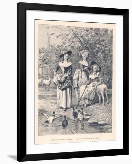Art Print, , large